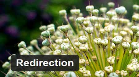 mejores plugins wordpress redirecciones redirection mejores plugins wordpress redirecciones redirection