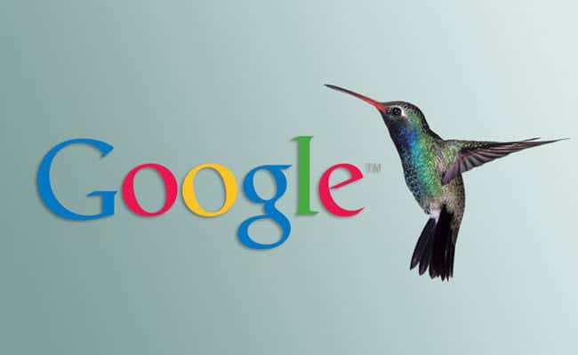 escribir en internet como un profesional hummingbird google