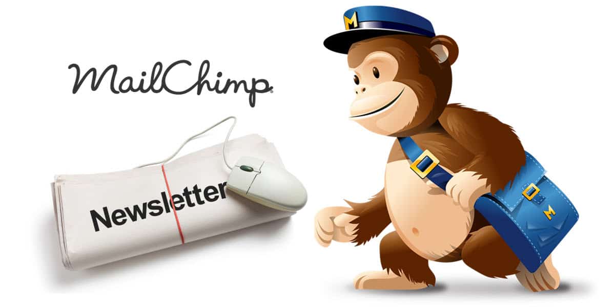 tutorial mailchimp newsletter email marketing