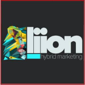 mejores blogs marketing online liion hybrid marketing mejores blogs marketing digital liion hybrid marketing