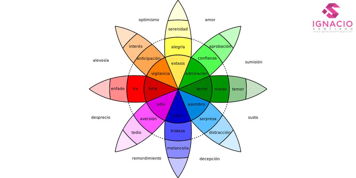guia consejos diseño web psicologia colores rueda de las emociones robert plutchik