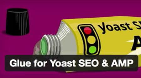 mejores plugins wordpress google amp glue yoast seo amp
