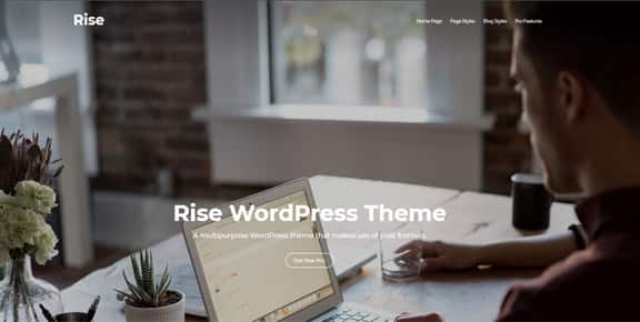 mejores plantillas themes wordpress gratis responsive multiusos rise