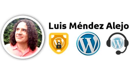 mejores blogs expertos wordpress blogging content management system profesionales diseño web luis mendez alejo soporte seguridad wordpress