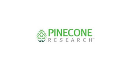 como hacer dinero rapido en internet probar productos servicios pineconeresearch