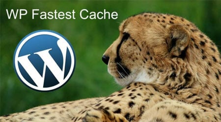 mejores plugins seo wordpress posicionamiento web rendimiento web cache wp fastest cache