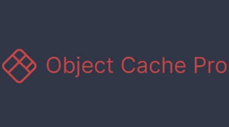 mejores plugins seo wordpress posicionamiento web rendimiento web cache object cache pro