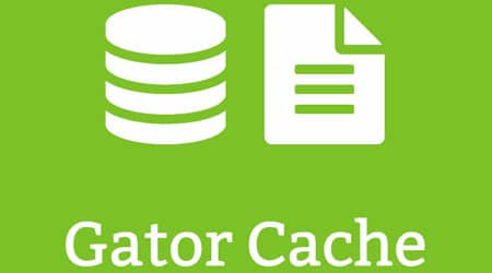 mejores plugins seo wordpress posicionamiento web rendimiento web gator cache