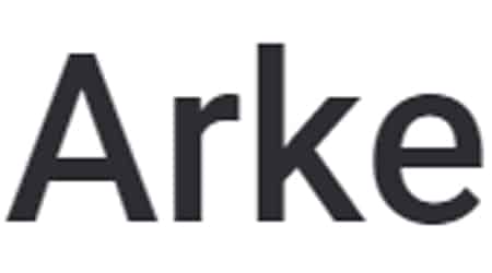 temas rapidos wordpress gratis premium velocidad de carga rendimiento web arke